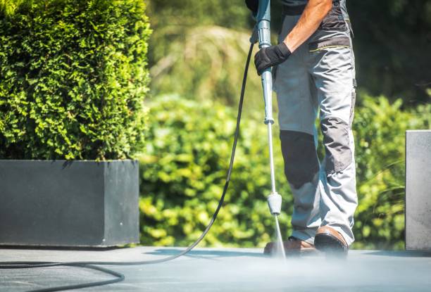 Solar Panel Cleaning in Puyallup, WA